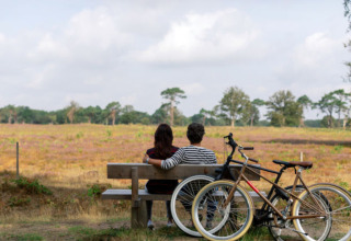 Twee mensen zitten op een bankje met fietsen ernaast en genieten van het uitzicht in Park Drentheland, Drenthe.