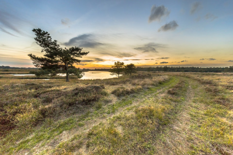 Zonsondergang boven een schilderachtig landschap met vijver, paden en bomen in Park Drentheland, Drenthe.