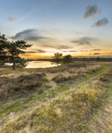 Atardecer sobre un hermoso paisaje con laguna, senderos y árboles en Park Drentheland, Drenthe, Países Bajos.