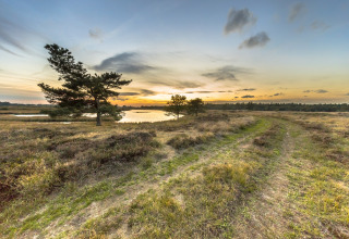 Zonsondergang boven een schilderachtig landschap met vijver, paden en bomen in Park Drentheland, Drenthe.