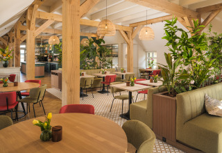 Bright, modern restaurant at glamping site with wooden beams, plants, and colorful seating arrangements.