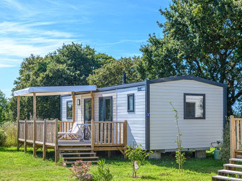 Mobil-home Premium avec terrasse en bois et transats, entouré de verdure et d’arbres luxuriants.