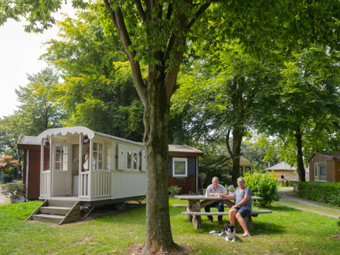 Two people and a dog sit at a picnic table outside a white cabin at Campsite Mareveld in the Netherlands.
