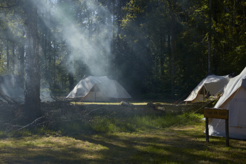 Kampeerplek met tenten in het bos bij Nordskoven Strand Camping in Denemarken, zonlicht en rook.