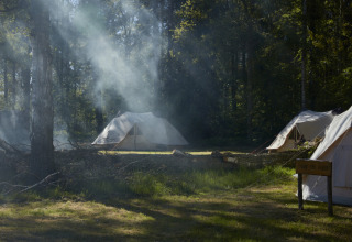 Kampeerplek met tenten in het bos bij Nordskoven Strand Camping in Denemarken, zonlicht en rook.