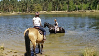 Twee ruiters met paarden bij een zonnig meer in het bos, een hoogtepunt bij Camping Amable in Noord-Brabant.