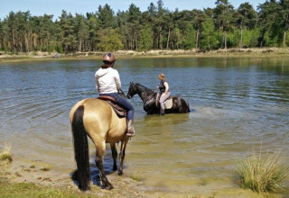 Twee ruiters met paarden bij een zonnig meer in het bos, een hoogtepunt bij Camping Amable in Noord-Brabant.