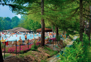 Udendørs swimmingpool ved en lodge, omgivet af træer og grønne planter, med mange mennesker og liggestole.