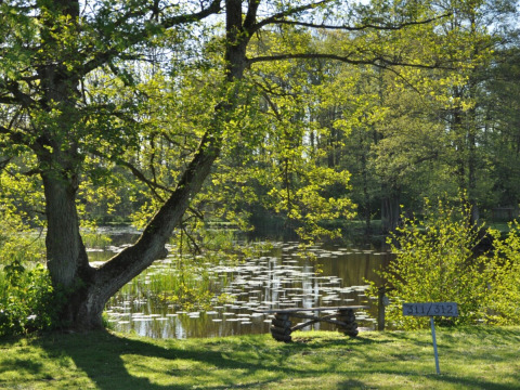 Udsigt over søen ved Skovly Camping i Region Sjælland, Danmark, med bænk, træer og skilt 311/312.