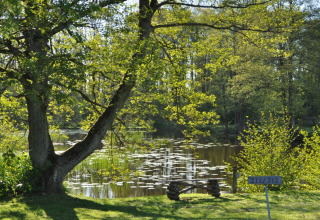 View of the pond at Skovly Camping in Region Zealand, Denmark, with a bench, trees, and sign 311/312.