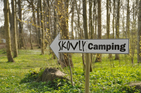 Directional sign for 'Skovly Camping' in a scenic woodland area in Region Zealand, Denmark.