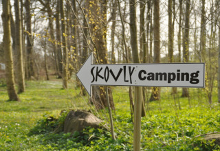 Directional sign for 'Skovly Camping' in a scenic woodland area in Region Zealand, Denmark.
