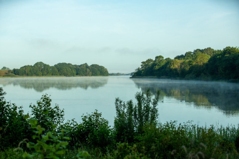 View of a tranquil lake with morning mist and lush greenery at Skovly Camping, Region Zealand, Denmark.