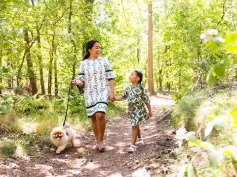 Mother and daughter walk their dog along a sunny forest path in Holiday park «Latour», North Brabant.