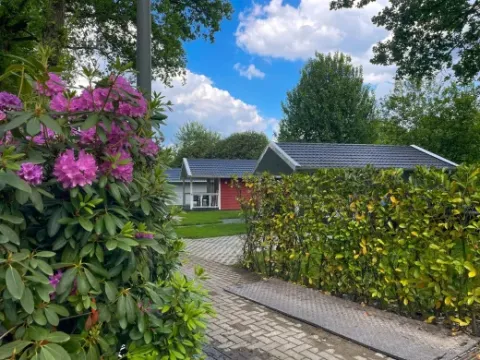 Holiday park Latour in North Brabant, Netherlands, with blooming bushes, hedges, and small cottages visible.
