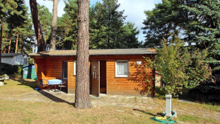 Houten bungalow Bungalow 35 qm 2 Pers. omgeven door bomen, met buitentafel en stoelen aanwezig.