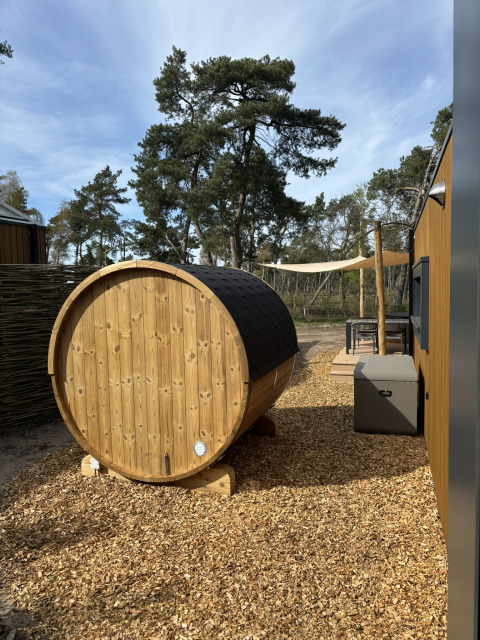 Udendørs glampingområde med en rund trætønde, hytte, træterrasse og store træer i baggrunden.