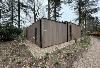 Lodge genaamd L-Cube op De Utrechtse Heuvelrug, Nederland, omringd door bomen en een grindpad.
