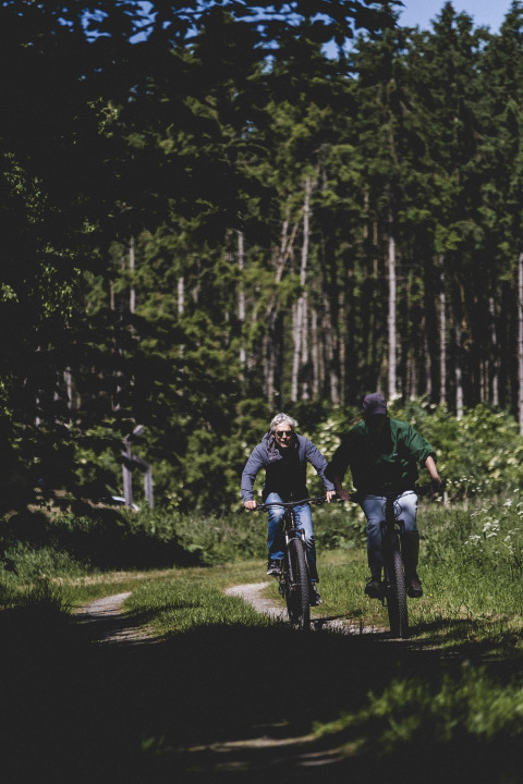 Deux personnes font du vélo sur un sentier forestier ensoleillé près d'un site de glamping, entourés d'arbres.