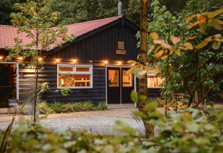 Hyggelig glamping-indkvartering i skoven med oplyst facade, rødt tag og grønne planter foran huset.