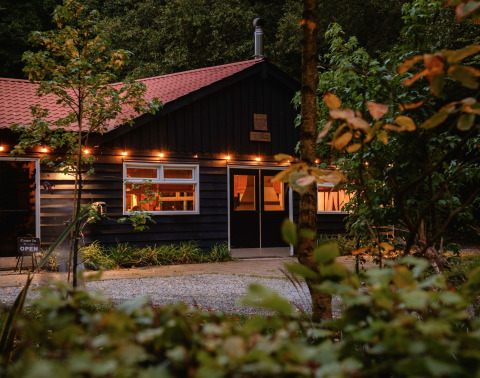 Hébergement glamping confortable en forêt avec façade éclairée, toit rouge et végétation luxuriante.