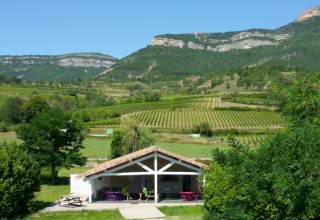 Holiday park Onlycamp Camping Les Tuillères with scenic vineyard landscape in Auvergne-Rhône-Alpes, France.