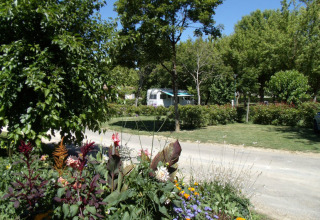 Fleurs colorées et verdure au Onlycamp Camping de l'Argenté, Occitanie, France, avec une caravane à l'arrière-plan.