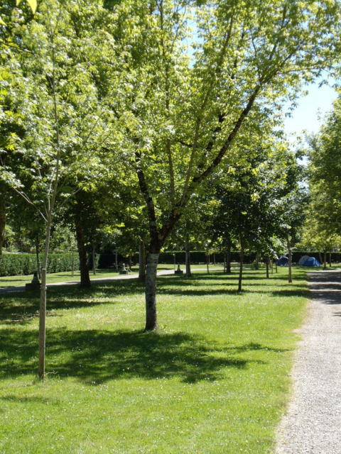 Zonnige groene ruimte met bomen en tenten bij Onlycamp Camping de l'Argenté in Occitanië, Frankrijk.