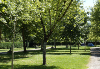 Zonnige groene ruimte met bomen en tenten bij Onlycamp Camping de l'Argenté in Occitanië, Frankrijk.