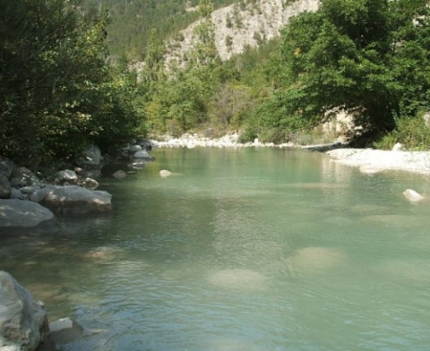 Flod med klart vand og sten i Onlycamp Camping Les Tuillères, omgivet af grønne træer i Auvergne-Rhône-Alpes.