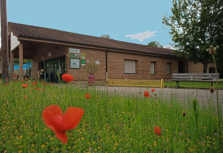 Bloeiende wilde bloemen voor een houten gebouw bij Onlycamp Camping le Champ d'Eté in Frankrijk.