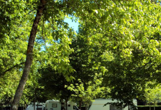 Kampeerplek met caravans onder groene bomen bij Onlycamp Camping de l'Argenté in Occitanië, Frankrijk.