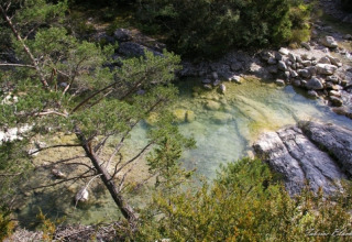 Afbeelding van een heldere beek met stenen en groen bij Onlycamp Camping Les Tuillères, Auvergne-Rhône-Alpes, Frankrijk.