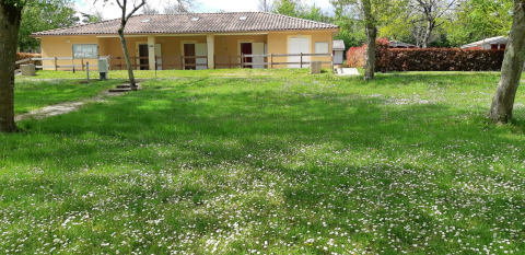 Groen grasveld met bloemen en bomen bij een gebouw op Onlycamp Camping de l'Argenté in Occitanië.