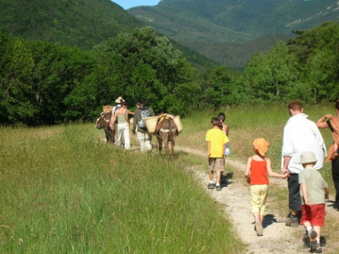 Gezinnen en kinderen wandelen met ezels op een groen pad bij Onlycamp Camping Les Tuillères, Auvergne-Rhône-Alpes.