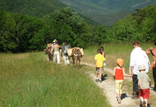 Familias y niños caminan con burros por un sendero verde en Onlycamp Camping Les Tuillères, en Auvernia-Ródano-Alpes.