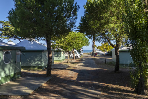 Grüner Zeltplatz mit Bäumen und Weg im Ferienpark Flower Camping Le Platin - La Redoute, Île de France.