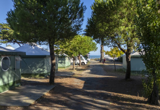 Holiday park with green tents, trees and pathway at Flower Camping Le Platin - La Redoute, Île de France.