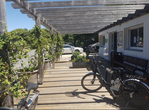 Zonnig houten terras met fietsen, zitbanken en bloembakken bij Flower Camping Le Platin in Île de France.