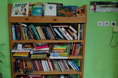 Houten boekenkast vol boeken en stripverhalen tegen een groene muur bij Onlycamp Camping de Besançon.