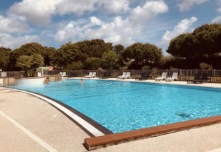 Outdoor swimming pool with lounge chairs and trees at Flower Camping Le Platin - La Redoute, Île de France.