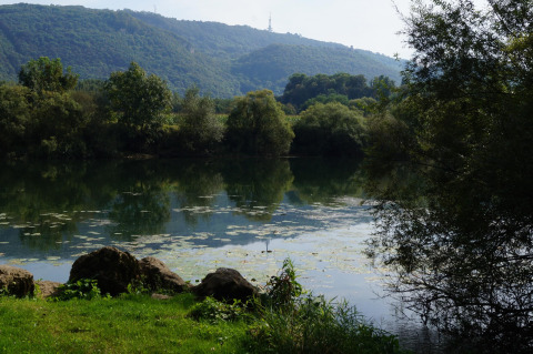 Landschaft mit See und bewaldeten Hügeln nahe Chalezeule, Bourgogne-Franche-Comté, Frankreich.