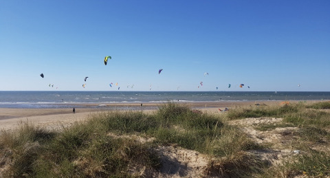 Strandansicht mit bewachsenen Dünen und vielen bunten Kites über dem Meer bei Flower Camping Le Platin.
