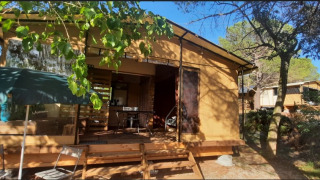 Tienda tipo safari con terraza de madera, sillas y sombrilla al aire libre en entorno boscoso soleado.