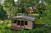 Safari-Zelt auf einer Holzplattform im Grünen, umgeben von Bäumen, mit Baumhaus im Hintergrund.