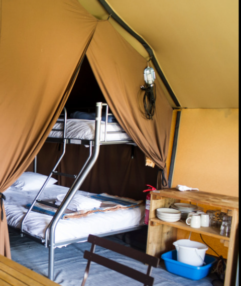 Vue intérieure d'une tente glamping avec lits superposés, petite cuisine et étagère avec vaisselle.