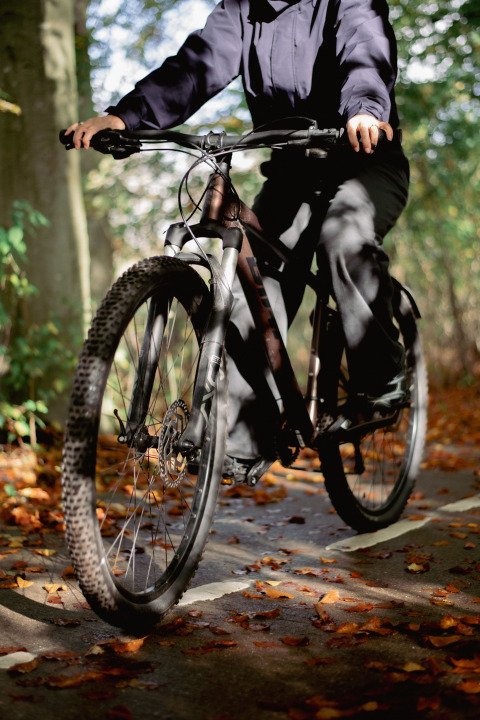 Personne à vélo sur un chemin couvert de feuilles à Wikkelhouse, Resort de Parel, aux Pays-Bas.