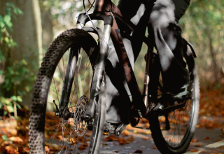 Personne à vélo sur un chemin couvert de feuilles à Wikkelhouse, Resort de Parel, aux Pays-Bas.