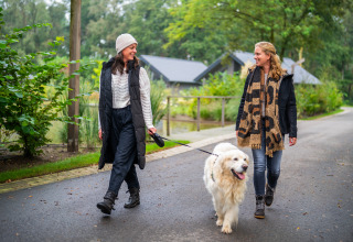 Due donne passeggiano con un grande cane bianco in un parco vacanze verde del Brabant Settentrionale.