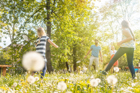 Famiglia gioca a badminton su un prato di soffioni a Holiday park Latour, Brabante Settentrionale, Paesi Bassi.